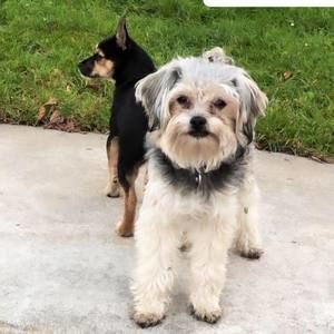 Meet your Posher, Arun